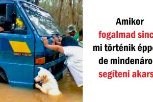 26 lelkesítő fotó, amely feldobta a napunkat