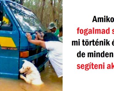 26 lelkesítő fotó, amely feldobta a napunkat