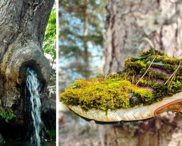 15 alkalom, amikor a természet úgy döntött, hogy a saját szabályai szerint játszik