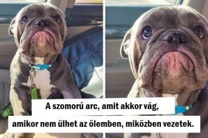 18 fotó, amelyek növelik a boldogsághormonjaidat