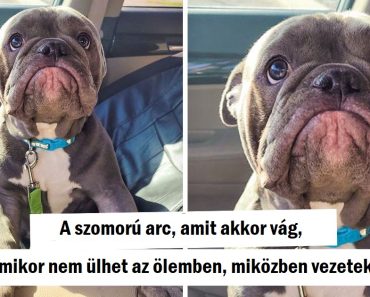 18 fotó, amelyek növelik a boldogsághormonjaidat