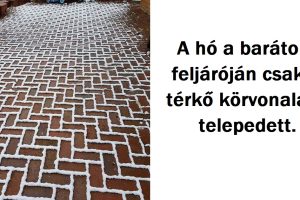 20 alkalom, amikor a természet lenyűgözött minket elragadó szépségével
