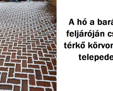 20 alkalom, amikor a természet lenyűgözött minket elragadó szépségével