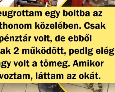 17 ember, aki véletlenszerűen kattintott a kamerájával és felkiáltott: „Micsoda cukiság!”