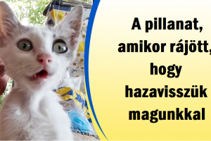 20+ kép mutatja, hogy a boldogság mindig elérhető közelségben van, ha értékeled az egyszerű dolgokat