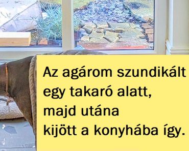 15+ fotó, amelyek éppen a megfelelő pillanatban készültek