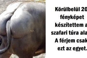 22 fénykép, amely bizonyítja, hogy a férfiak igazi szakértők az idő hasznos eltöltésében