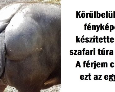 22 fénykép, amely bizonyítja, hogy a férfiak igazi szakértők az idő hasznos eltöltésében
