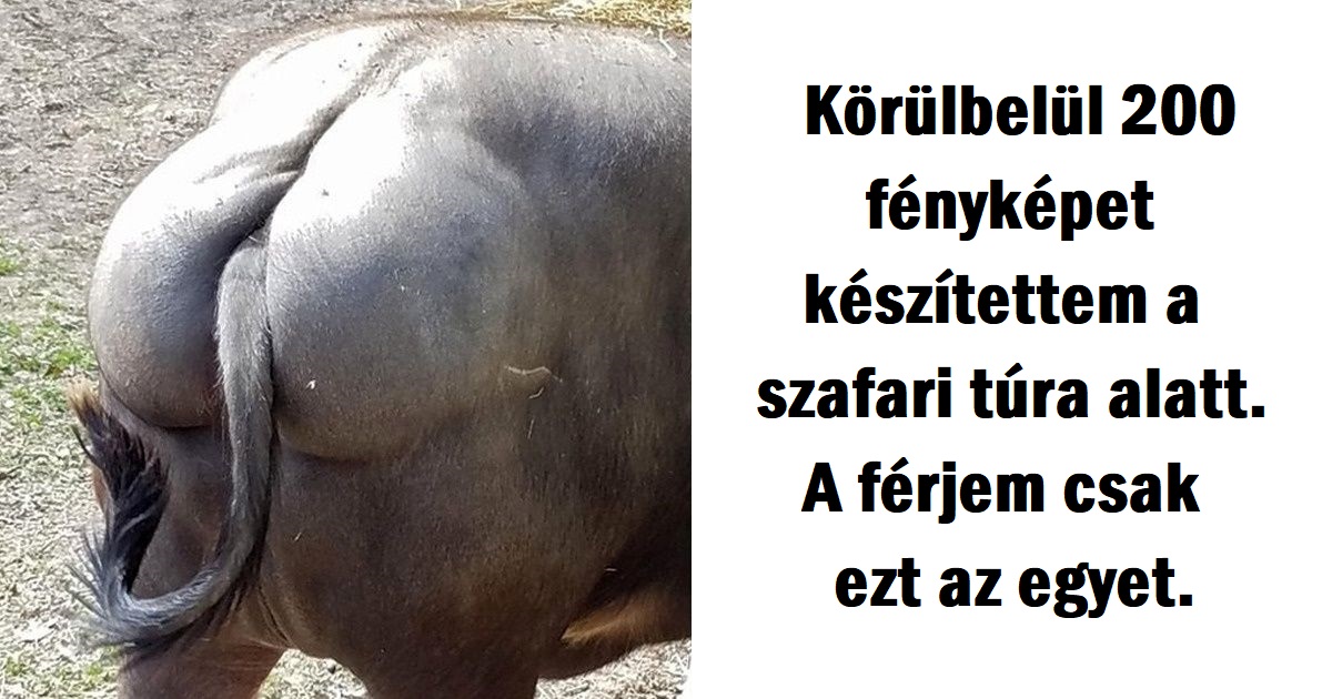 22 fénykép, amely bizonyítja, hogy a férfiak igazi szakértők az idő hasznos eltöltésében