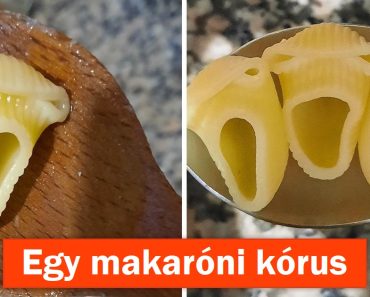 10+ kép, amely többet rejt, mint amit valójában látunk