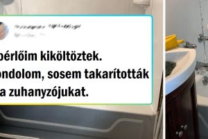 16 ember, akik nagyszerű munkát végeztek és végre megtisztítottak valamit, amire már nagyon ráfért