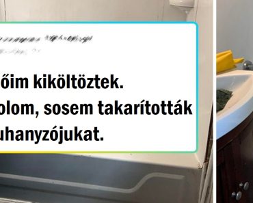 16 ember, akik nagyszerű munkát végeztek és végre megtisztítottak valamit, amire már nagyon ráfért