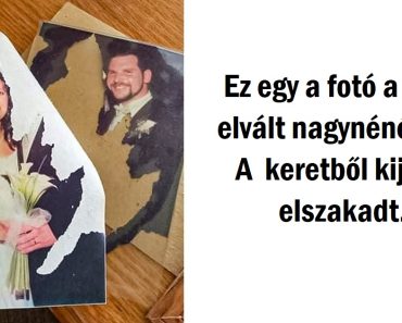 15 kép, amely megmutatja, hogy a véletlen bármikor, bárkivel megtörténhet
