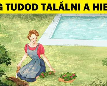 Használd a sas szemed, hogy megtaláld az összes hibát ezen a 11 képen