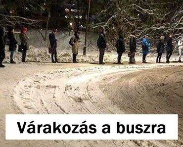9 lenyűgöző tény Svédországról, amely bebizonyítja, hogy ez az ország nem hasonlítható egyetlen másikhoz sem