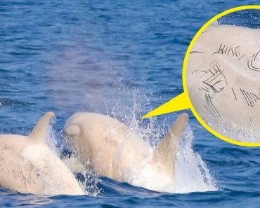 20 kép, ami kíváncsivá tett minket, hogy mi történik rajtuk