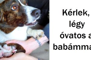 20 fotó, ami megmutatja, hogy az igaz szeretet bármilyen formában és méretben érkezhet