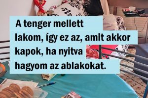 15 szerencsés találkozás, amit az emberek soha nem tervezték, hogy legyen