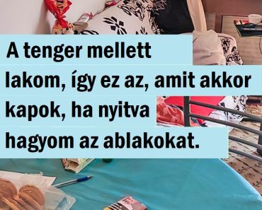 15 szerencsés találkozás, amit az emberek soha nem tervezték, hogy legyen