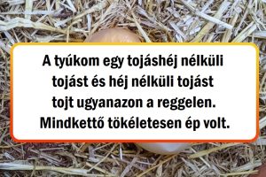 15 fotó, amely bizonyítja, hogy a világ még mindig tele van csodákkal