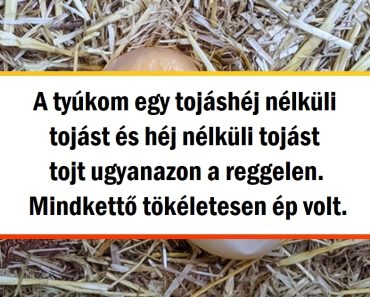15 fotó, amely bizonyítja, hogy a világ még mindig tele van csodákkal