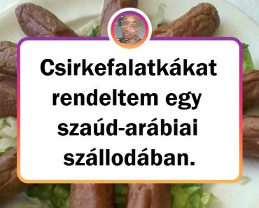 15 ember, akinek az utazásait felülmúlták a hotelek, ahol megszálltak