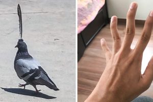 20 alkalom, amikor az anyatermészet vad vezetői döntéseket hozott
