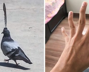 20 alkalom, amikor az anyatermészet vad vezetői döntéseket hozott