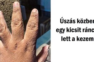 15+ alkalom, amikor a természet kipróbált valami újat és lenyűgözött minket