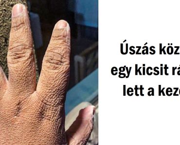 15+ alkalom, amikor a természet kipróbált valami újat és lenyűgözött minket