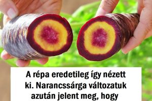 40+ valós tény, amit lehet, hogy nehéz elhinni elsőre