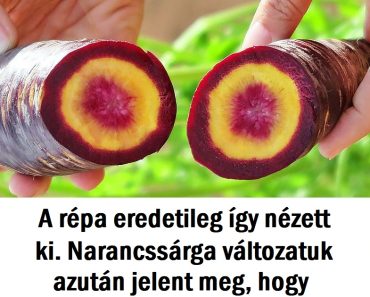 40+ valós tény, amit lehet, hogy nehéz elhinni elsőre