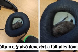 20+ fotó, amely elgondolkodtatott bennünket, hogy mi folyik itt valójában