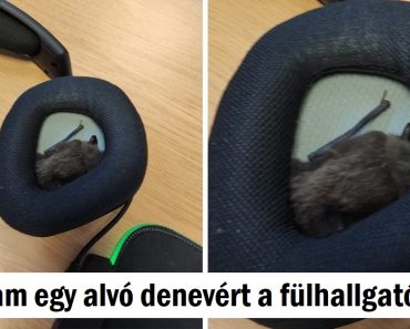 20+ fotó, amely elgondolkodtatott bennünket, hogy mi folyik itt valójában