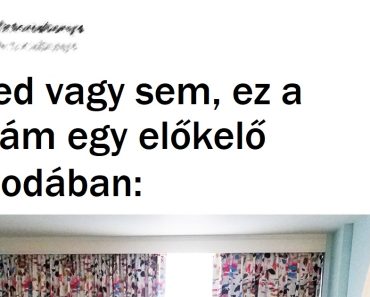 20 ember, aki egy kényelmes szállodai szobát akart, de a valóság megrázta az elvárásait