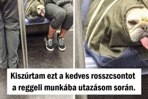 20+ kép, amelyek 100%-ban normálisnak tűnnek, amíg közelebbről meg nem nézed őket