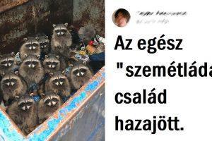 15+ kép, amelyek bizonyítják, hogy az Univerzum mindenkinek tartogat egy kis meglepetést
