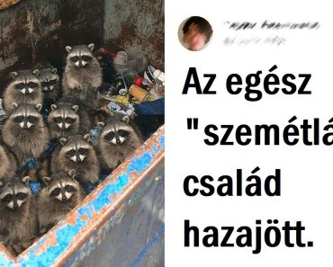 15+ kép, amelyek bizonyítják, hogy az Univerzum mindenkinek tartogat egy kis meglepetést 15+ kép, amelyek bizonyítják, hogy az Univerzum mindenkinek tartogat egy kis meglepetést