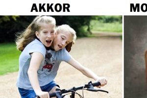 15 érdekes dolog a híres sziámi ikrekről, Abby és Brittany Henselről