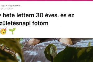 20 ember, akik egyetlen növény beszerzésétől saját kis dzsungelig jutottak el az otthonukban