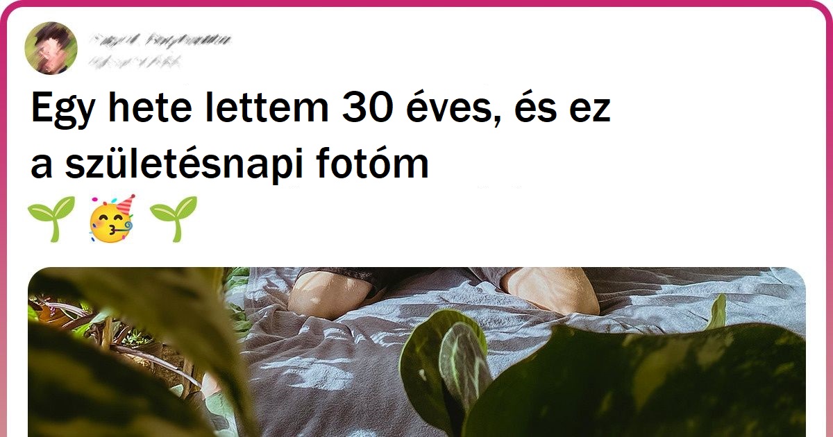 20 ember, akik egyetlen növény beszerzésétől saját kis dzsungelig jutottak el az otthonukban