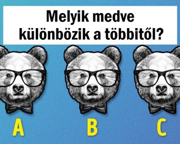 Teszteld a logikai készséged ezzel a 10 fejtörővel