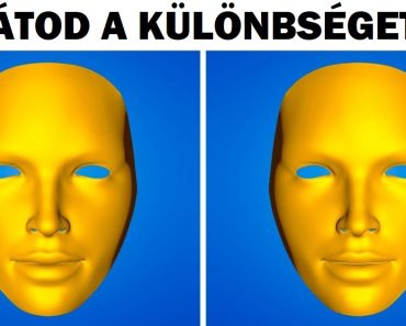 2 kérdés, amelyet csak egy skizofrén vagy egy zseni tud megválaszolni