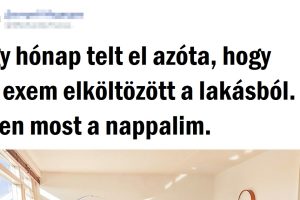 20+ srác, akik bebizonyítják, hogy a férfibarlang is lehet igazán barátságos