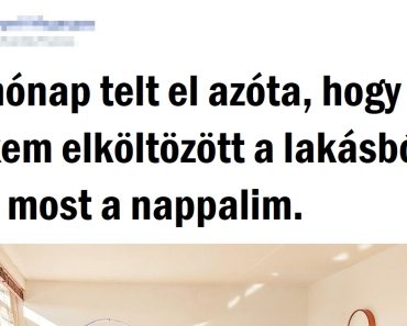 20+ srác, akik bebizonyítják, hogy a férfibarlang is lehet igazán barátságos