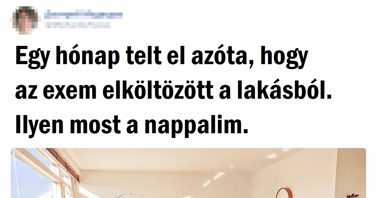 20+ srác, akik bebizonyítják, hogy a férfibarlang is lehet igazán barátságos