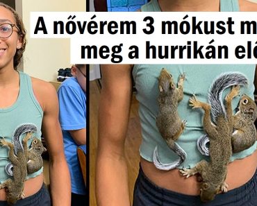 16 édes lélek, akik soha nem félnek attól, hogy kedvesek legyenek