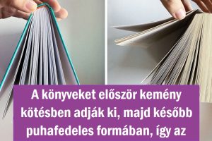 10 válasz olyan kérdésekre, amelyekre túlságosan lusták vagyunk rákeresni a Google-ben