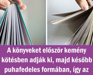 10 válasz olyan kérdésekre, amelyekre túlságosan lusták vagyunk rákeresni a Google-ben