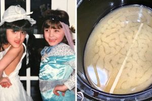16 zavarba ejtő fotó, ami miatt megálltunk és közelebbről megnéztük őket